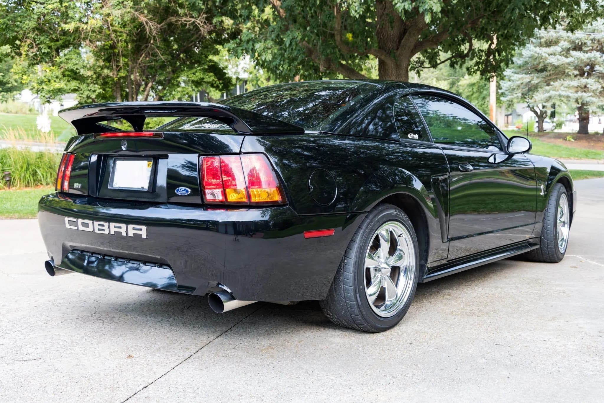 2001 Ford Mustang SVT Cobra Coupe, view