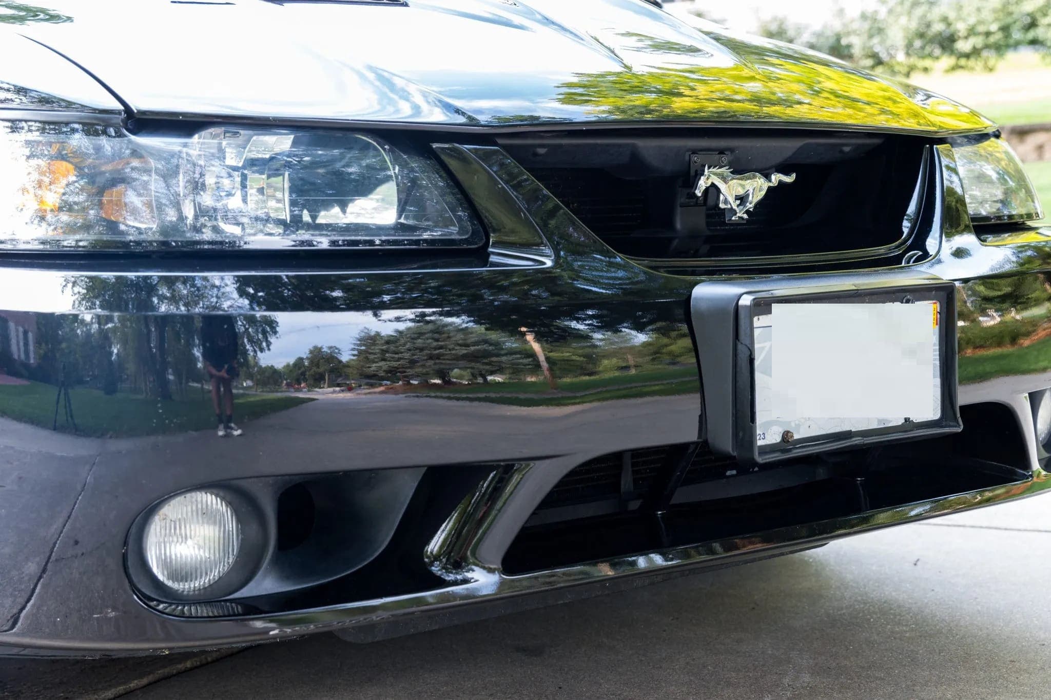 2001 Ford Mustang SVT Cobra Coupe, view