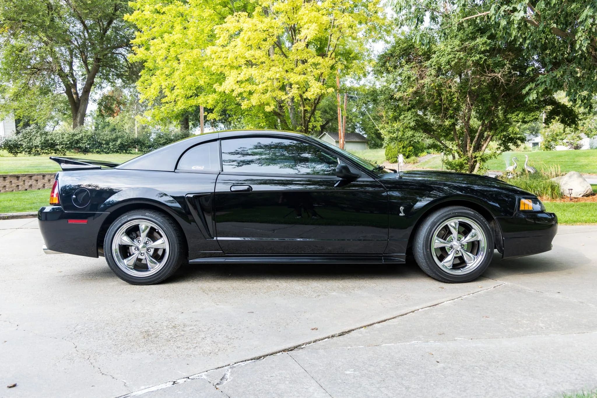 2001 Ford Mustang SVT Cobra Coupe, view