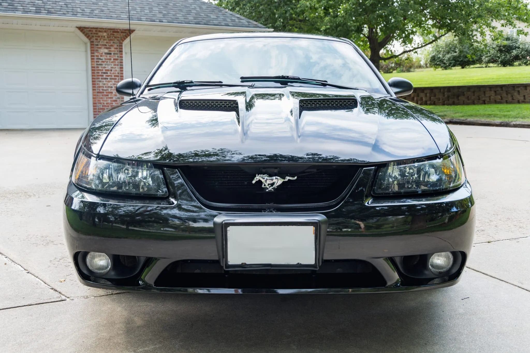 2001 Ford Mustang SVT Cobra Coupe, view