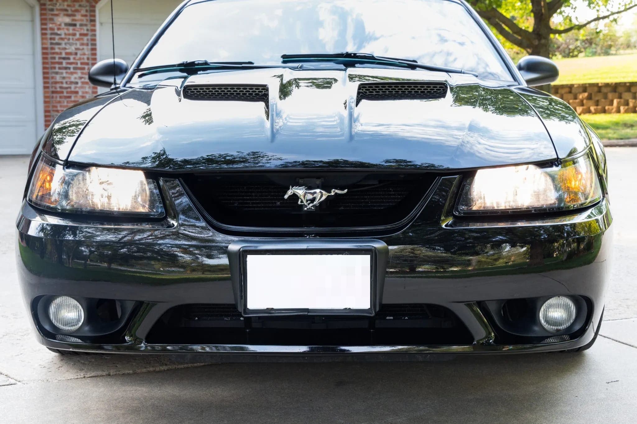 2001 Ford Mustang SVT Cobra Coupe, view