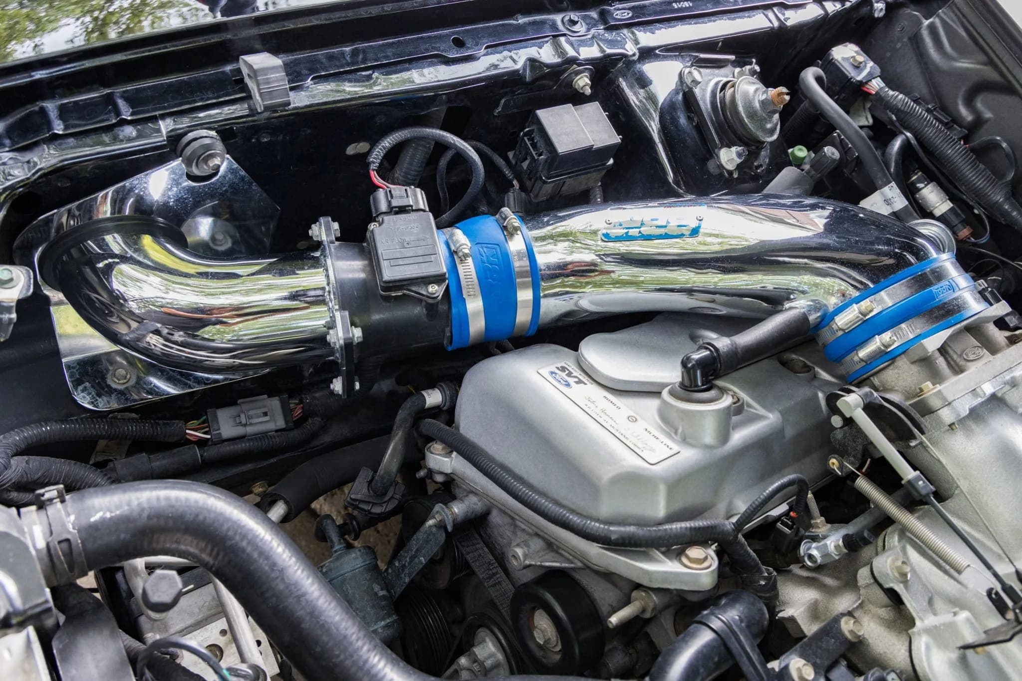 2001 Ford Mustang SVT Cobra Coupe, view