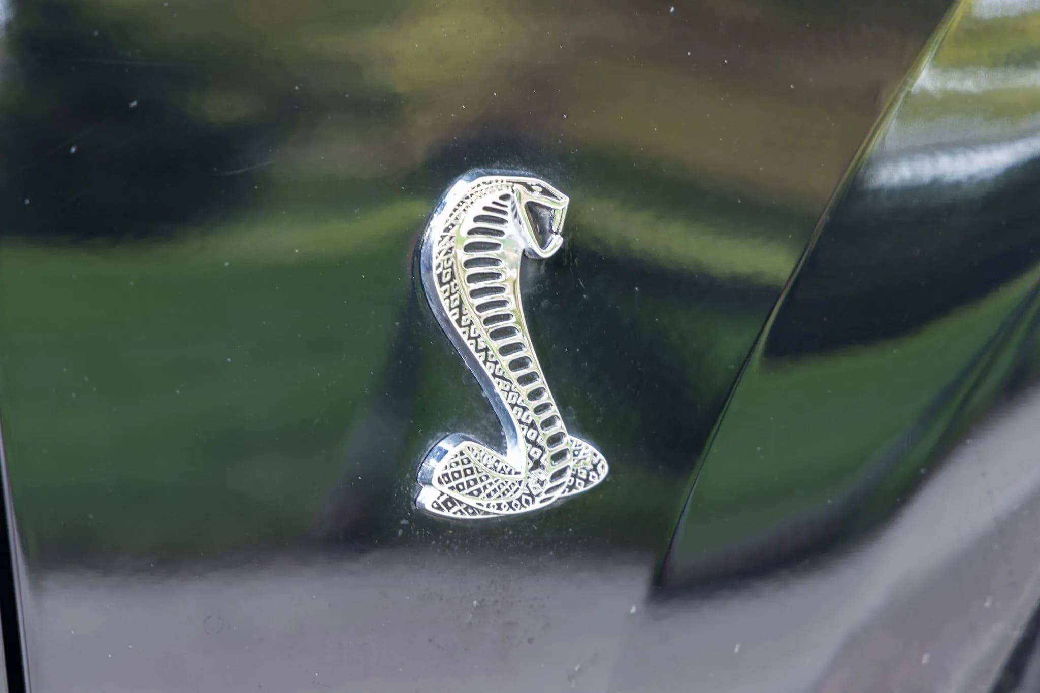 2001 Ford Mustang SVT Cobra Coupe, view