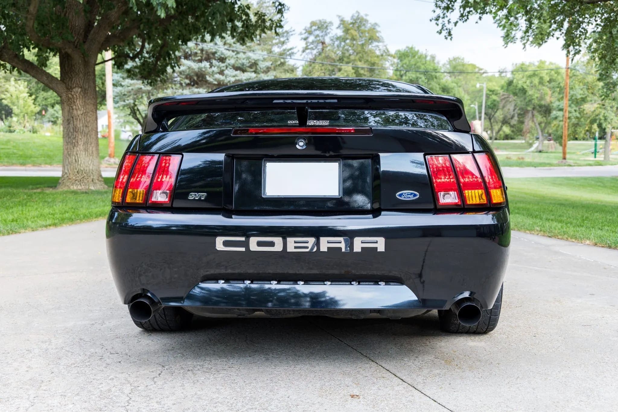 2001 Ford Mustang SVT Cobra Coupe, view