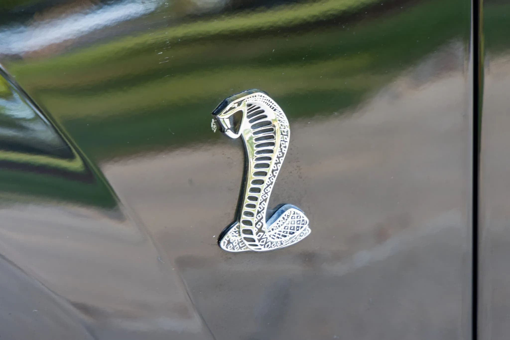 2001 Ford Mustang SVT Cobra Coupe, view