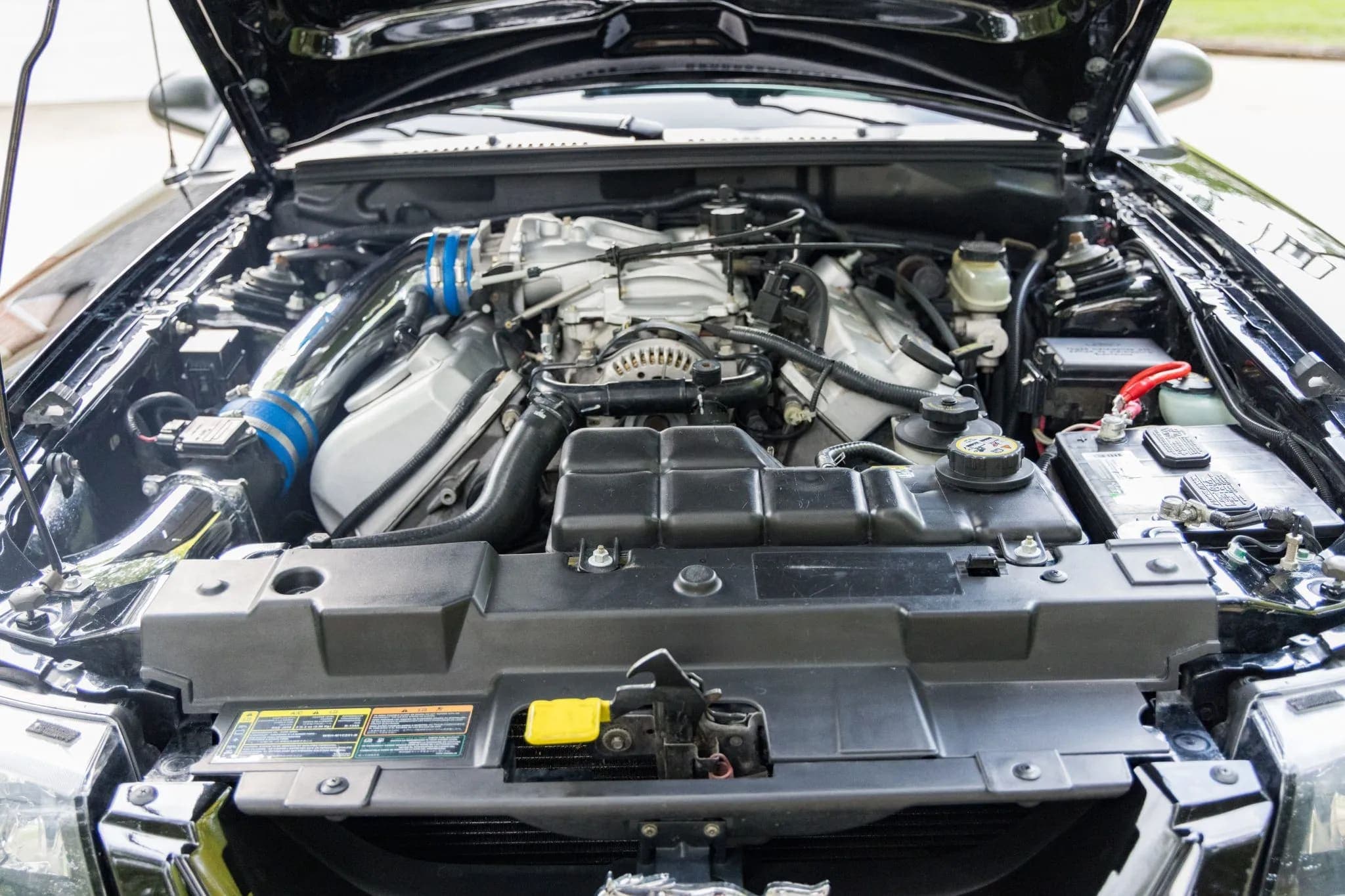 2001 Ford Mustang SVT Cobra Coupe, view